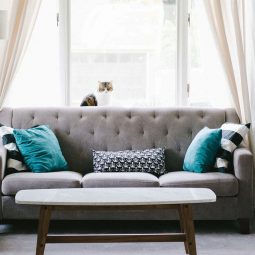kak vybrat divan 255x255 - Как в интернете правильно выбрать хороший диван